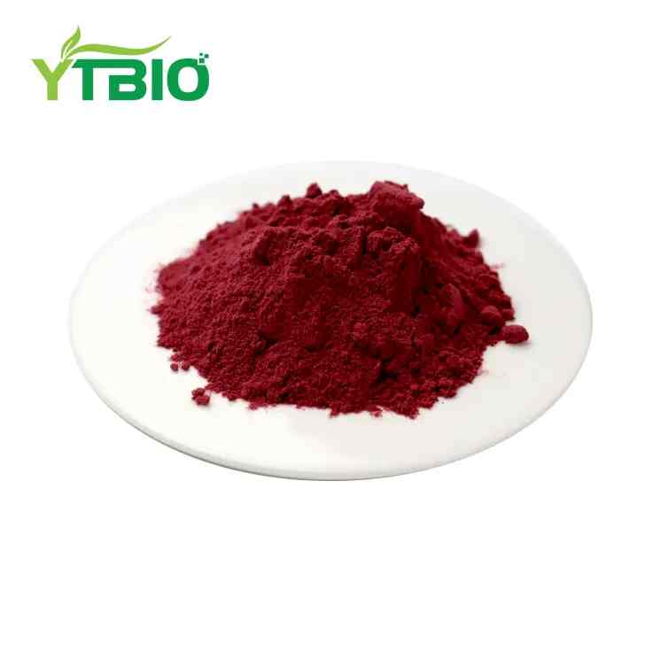 Bilberry Extract Powder
